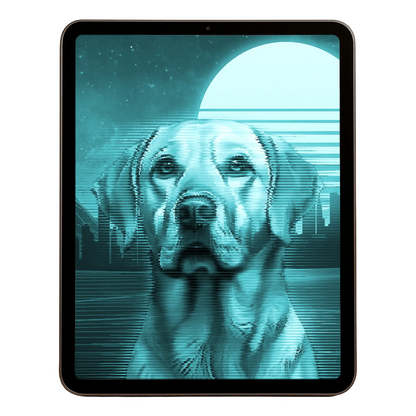 00 Digital Download A