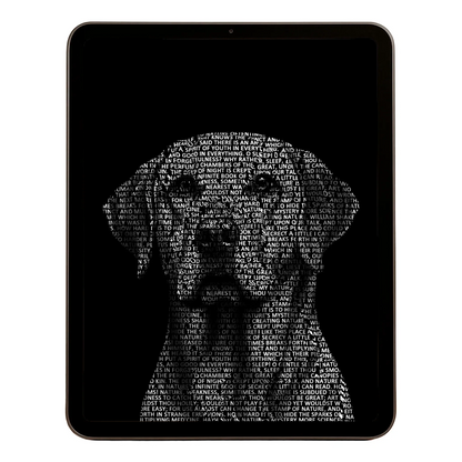 00 Digital Download A