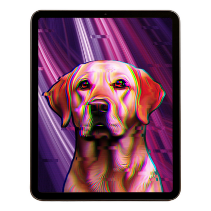 00 Digital Download A