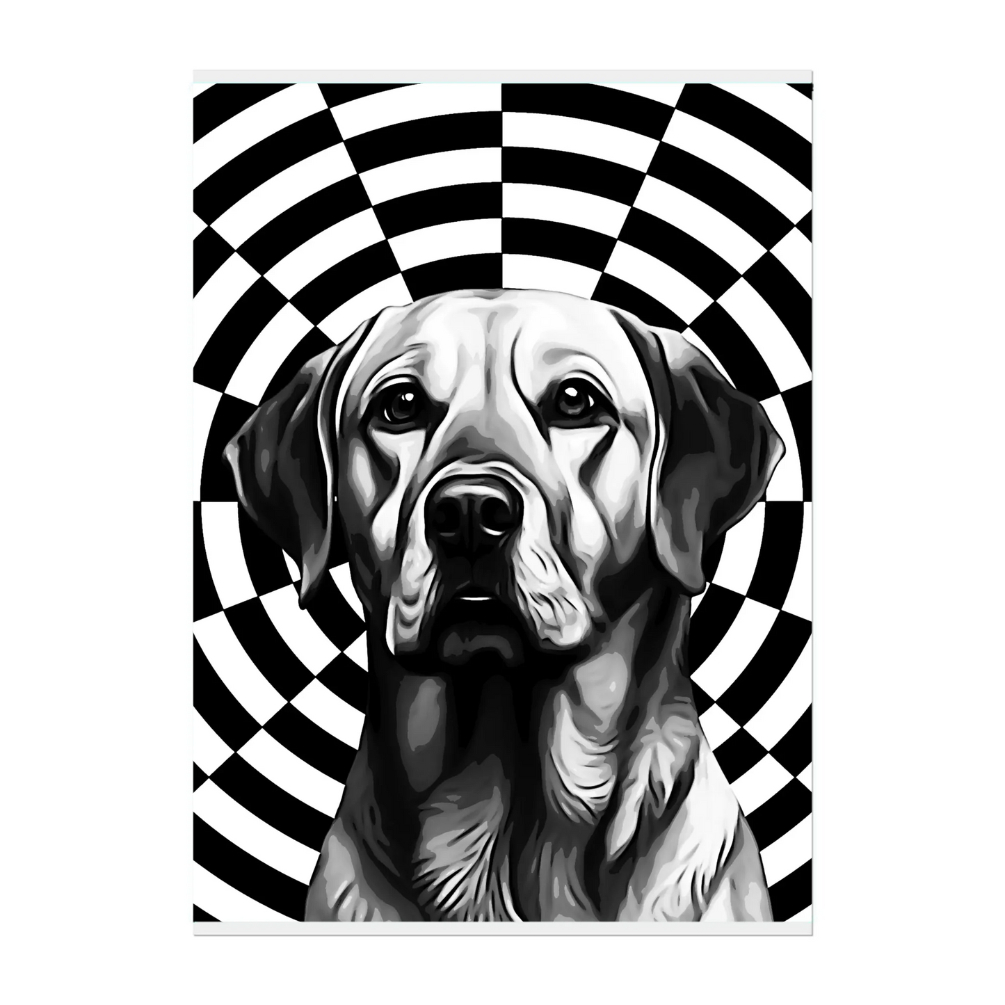 02 02 A Poster 12x16 Front