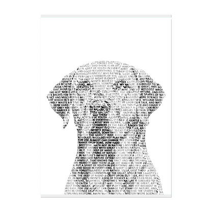 02 02 A Poster 12x16 Front