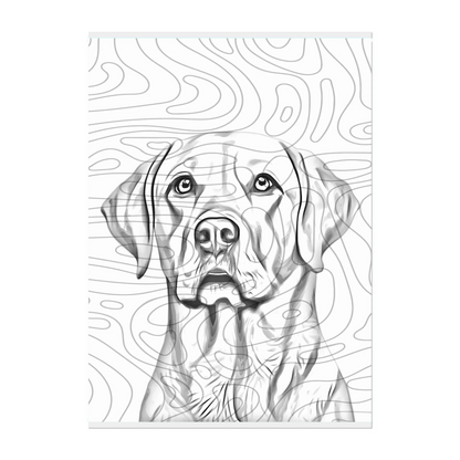 02 02 A Poster 12x16 Front