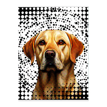 02 03 A Poster 18x24 Front