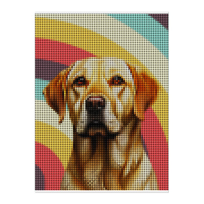 02 03 A Poster 18x24 Front