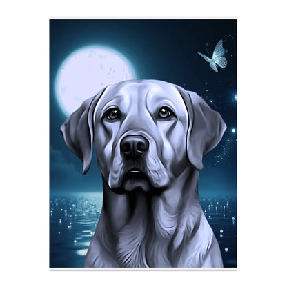 02 03 A Poster 18x24 Front