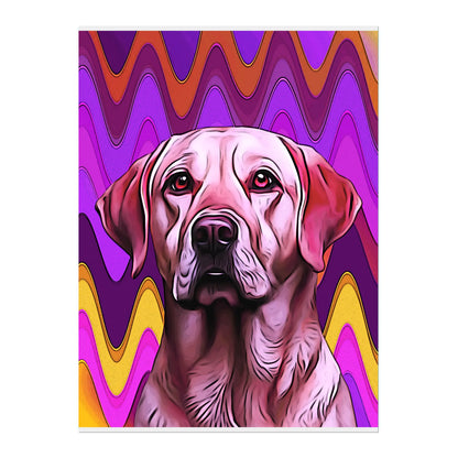 02 03 A Poster 18x24 Front