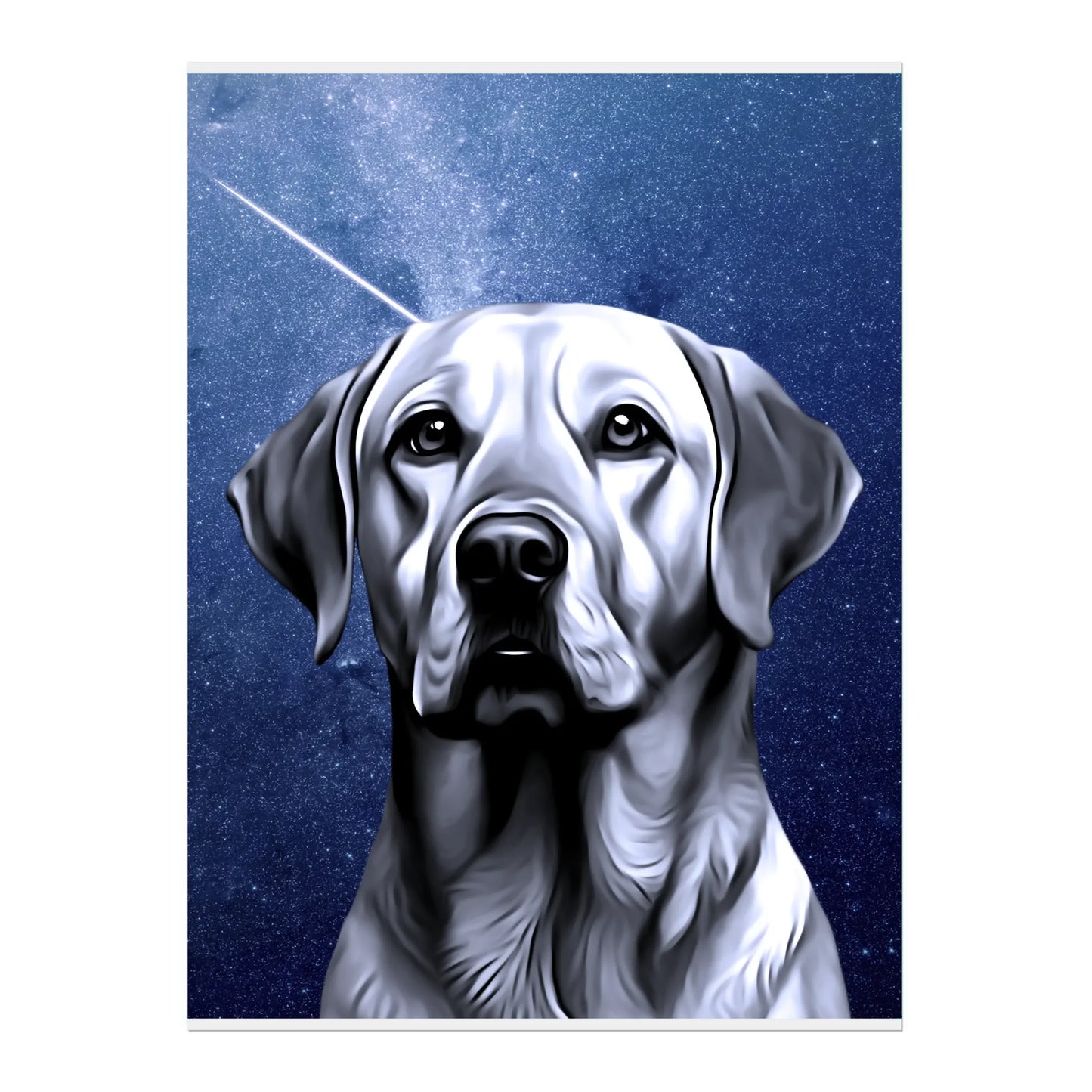 02 03 A Poster 18x24 Front