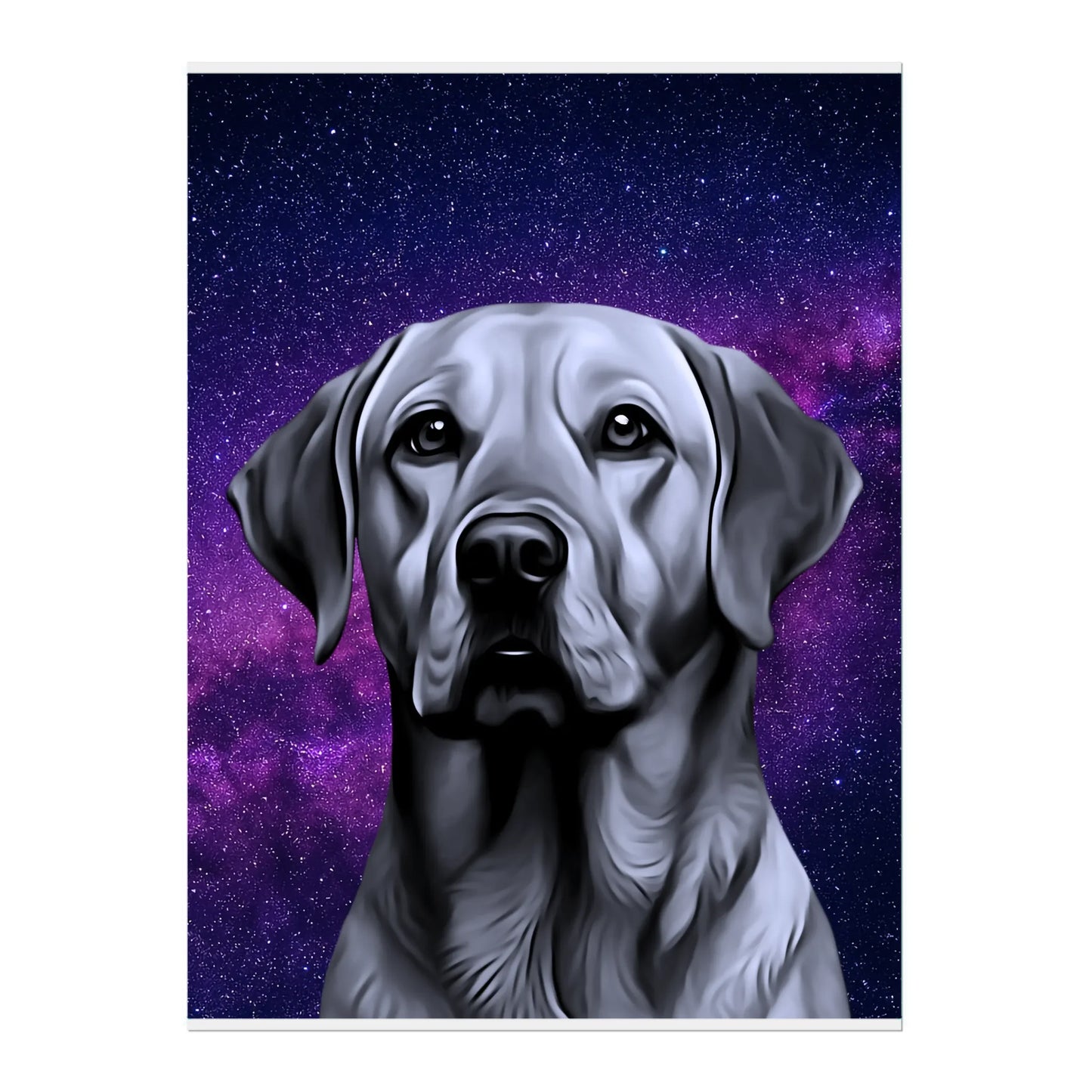 02 03 A Poster 18x24 Front
