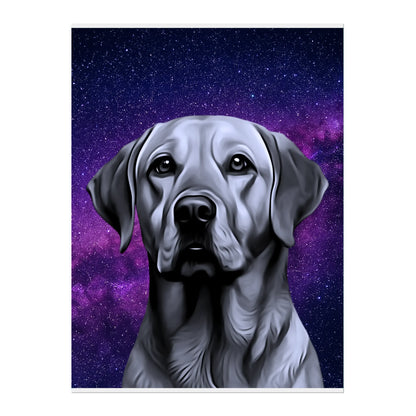 02 03 A Poster 18x24 Front