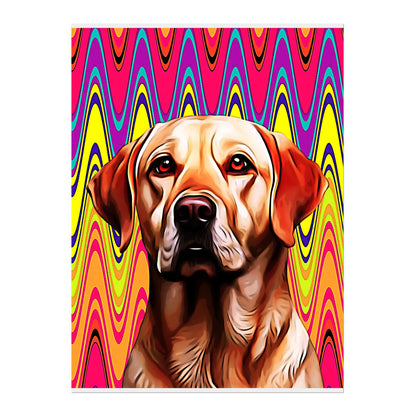 02 03 A Poster 18x24 Front