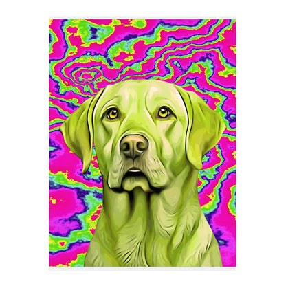 02 03 A Poster 18x24 Front