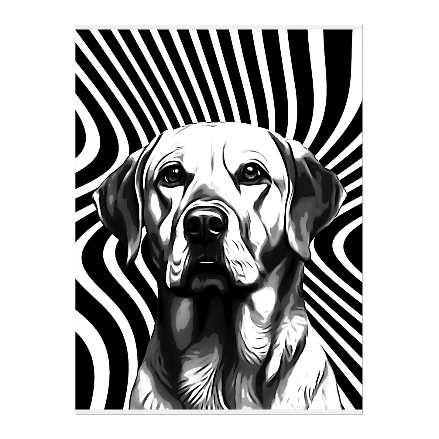 02 03 A Poster 18x24 Front