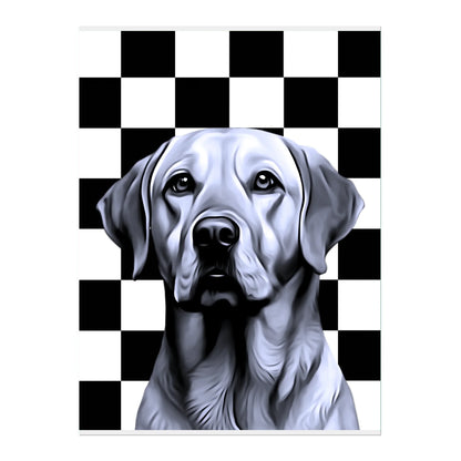 02 03 A Poster 18x24 Front