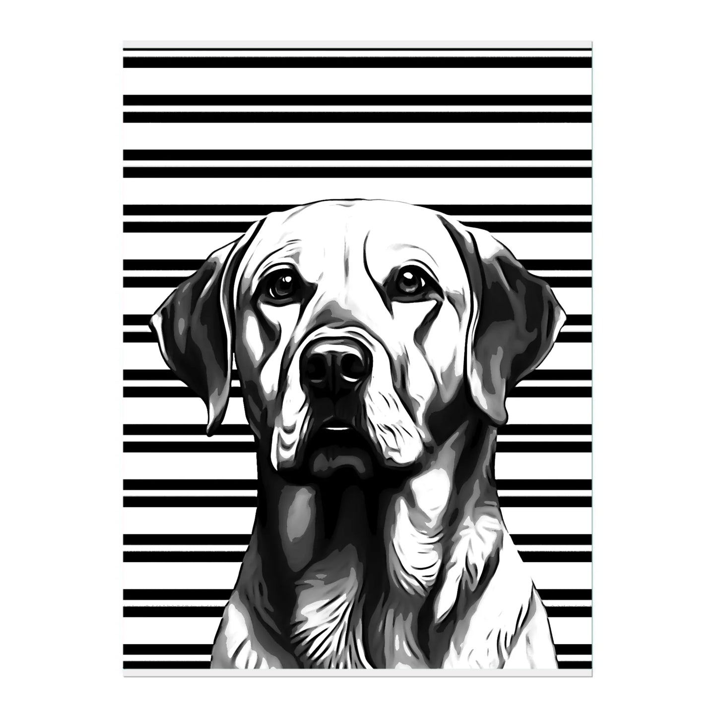 02 03 A Poster 18x24 Front