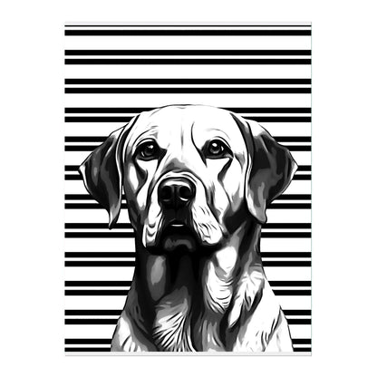 02 03 A Poster 18x24 Front