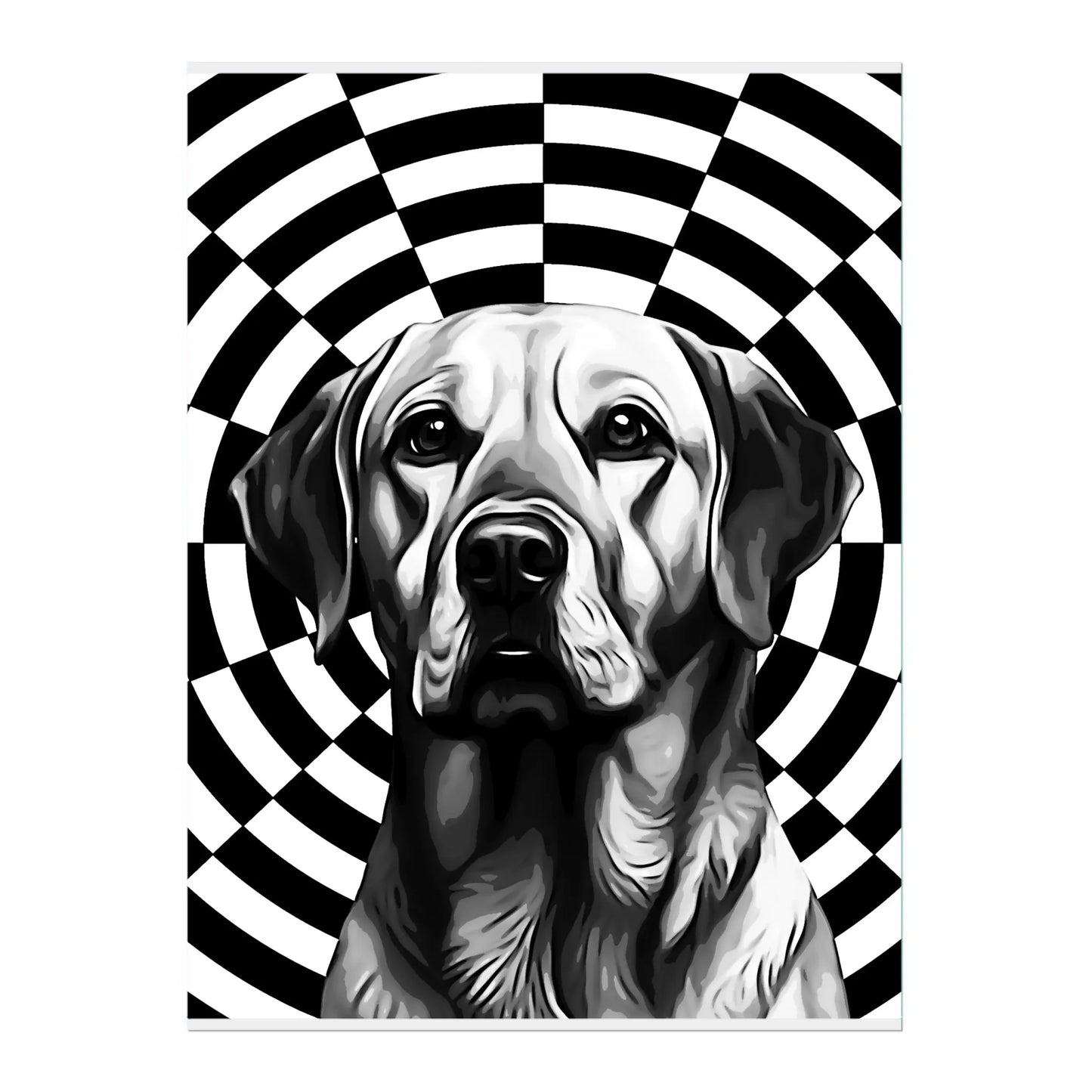 02 03 A Poster 18x24 Front