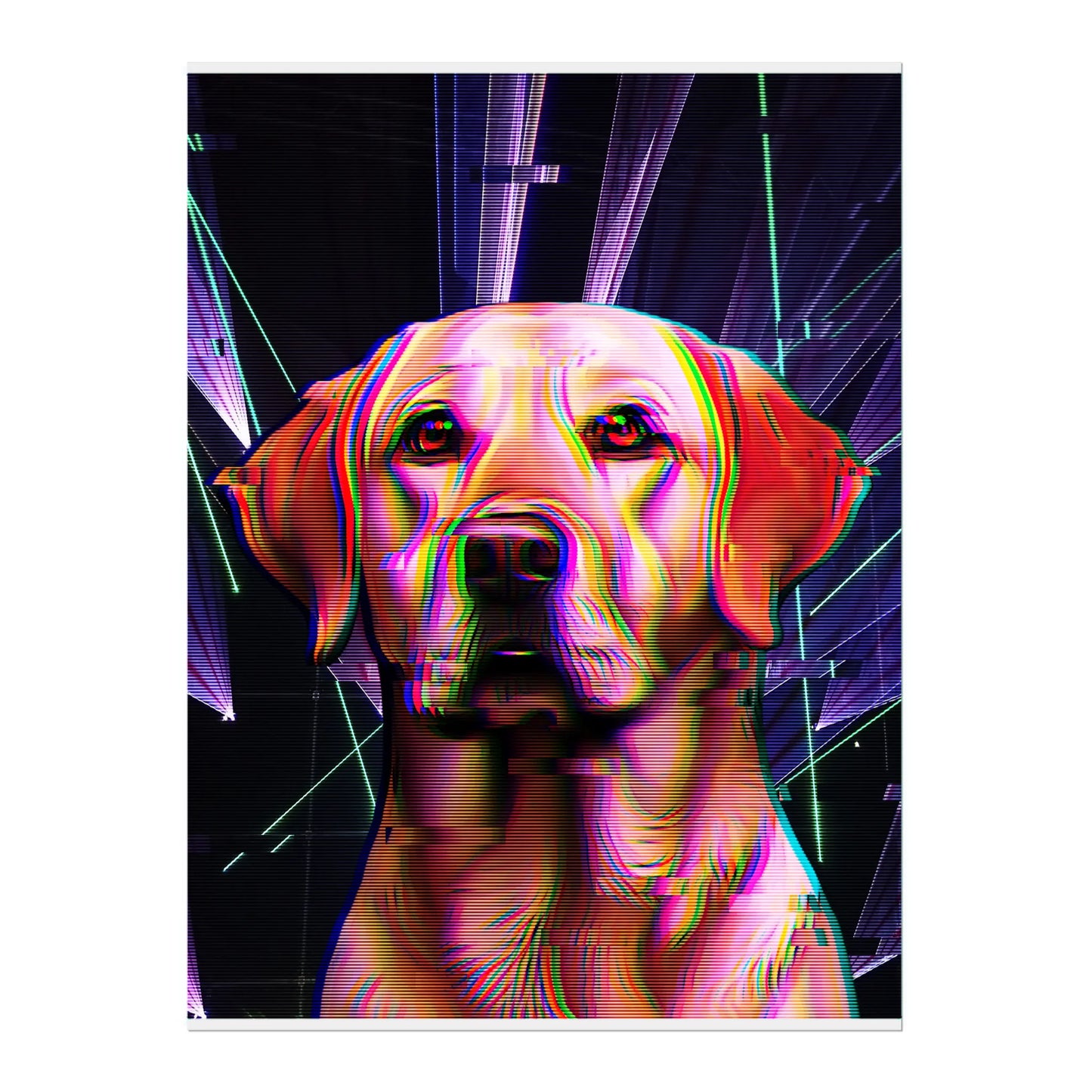 02 03 A Poster 18x24 Front