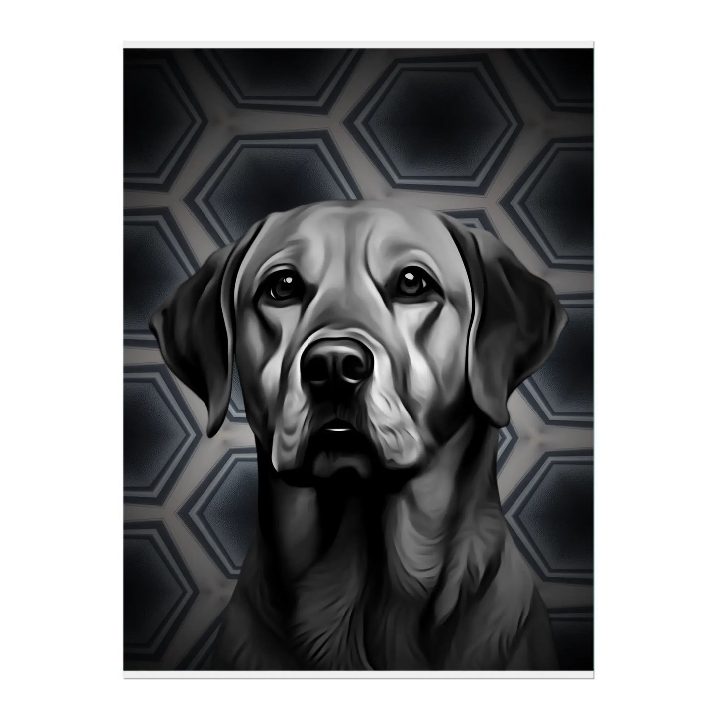 02 03 A Poster 18x24 Front