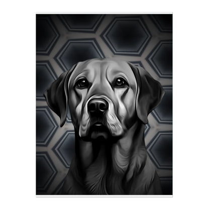 02 03 A Poster 18x24 Front