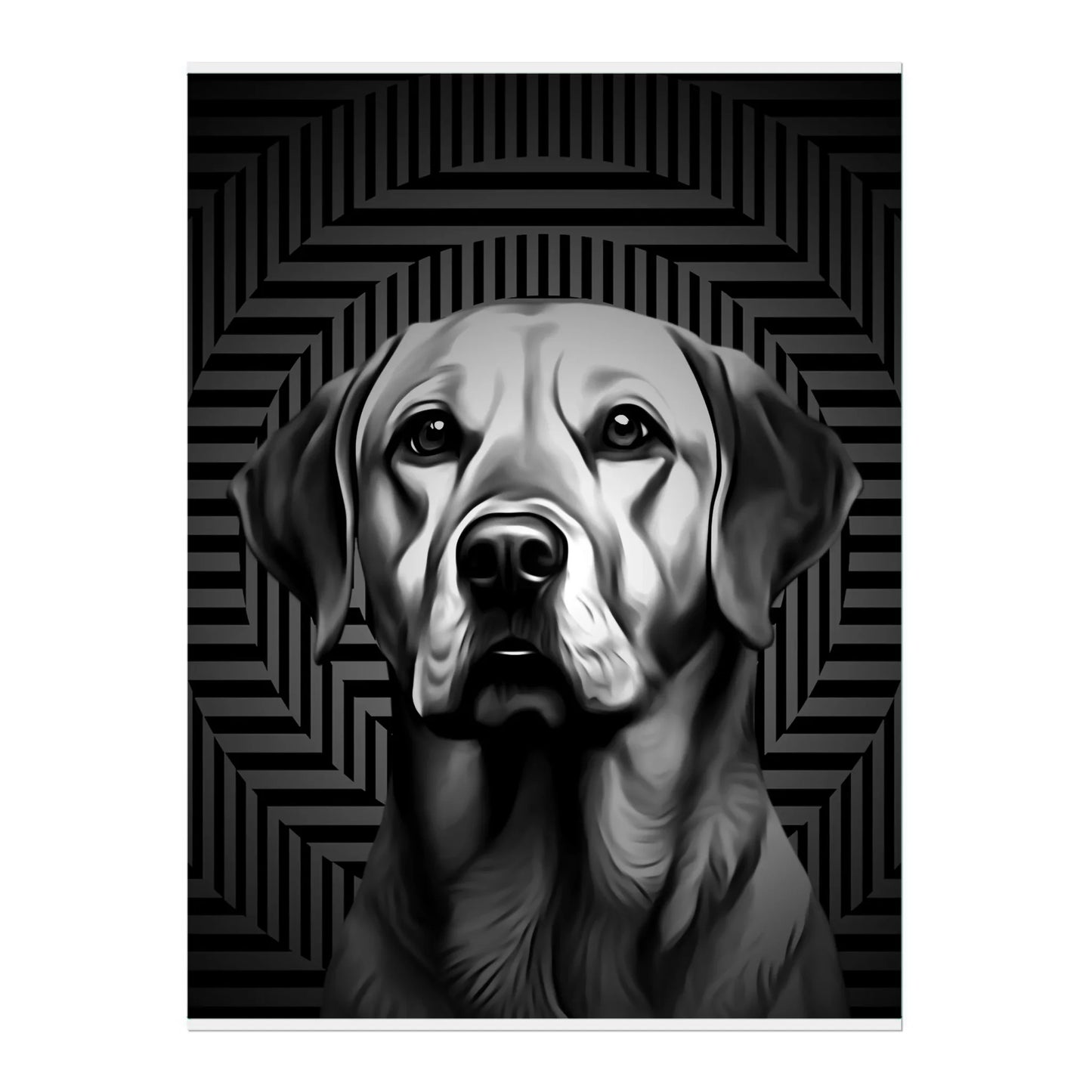 02 03 A Poster 18x24 Front