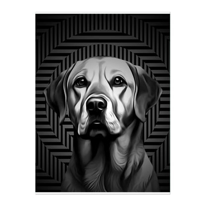 02 03 A Poster 18x24 Front