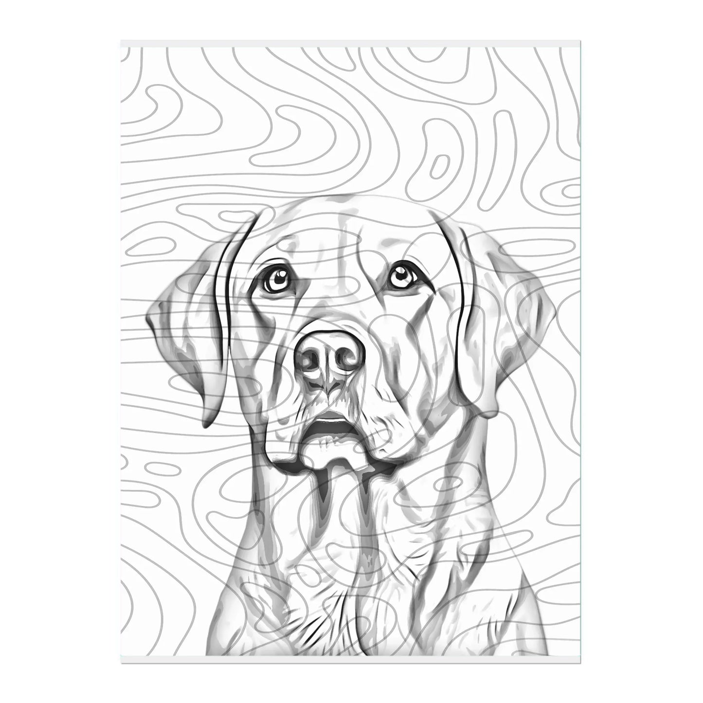 02 03 A Poster 18x24 Front