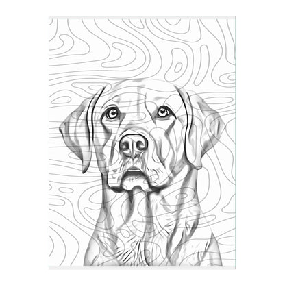 02 03 A Poster 18x24 Front