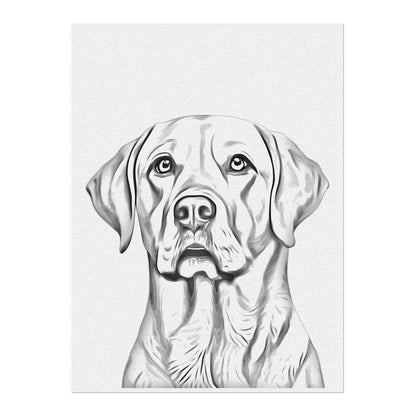 02 03 A Poster 18x24 Front