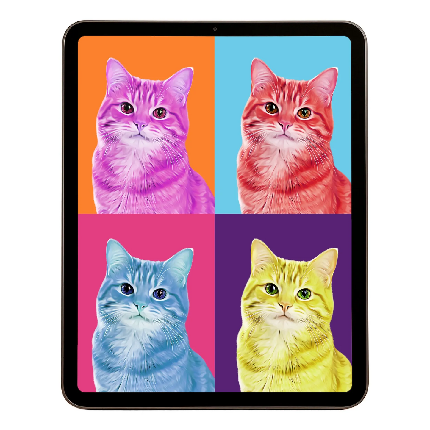 00 Digital Download A