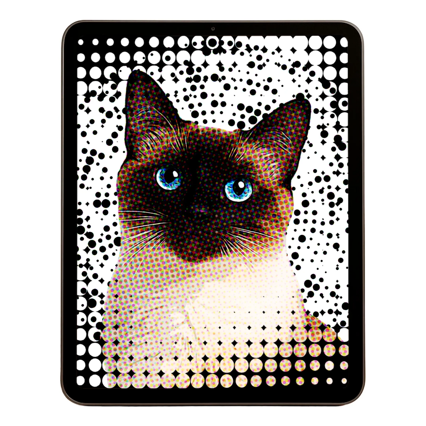 00 Digital Download A