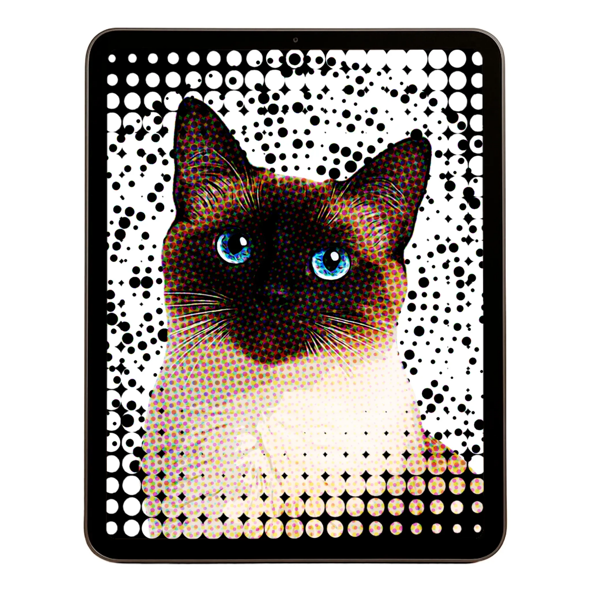 00 Digital Download A