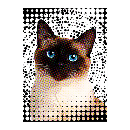 02 03 A Poster 18x24 Front