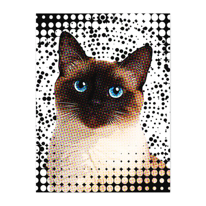 03 05 A Canvas 30x40 Front