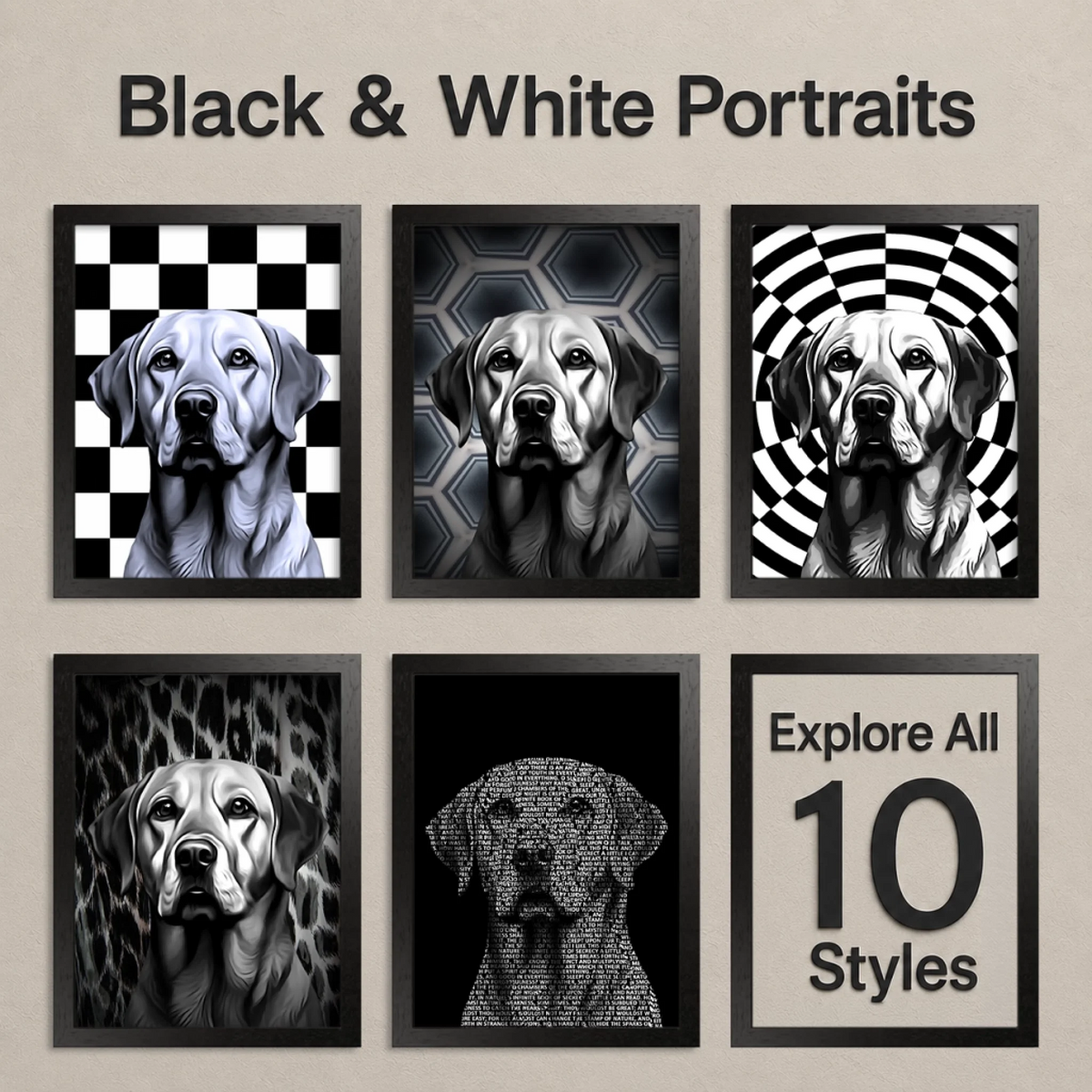 07 Black and White